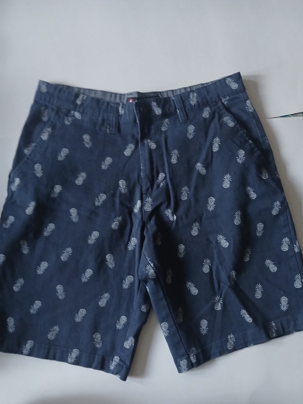 Airwalk Men Y2K  Navy Blue With Pineapples  Shorts Skateboarding Grunge Baggy 32